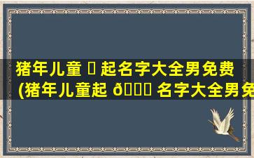 猪年儿童 ☘ 起名字大全男免费(猪年儿童起 🕊 名字大全男免费取名)